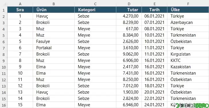 Özet Tablo veri listesi