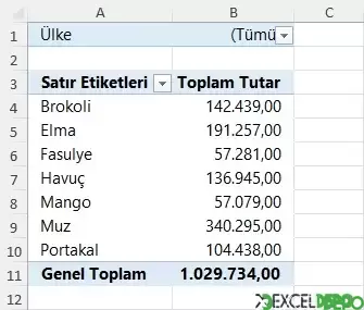 Excel Özet Tablo Görünümü