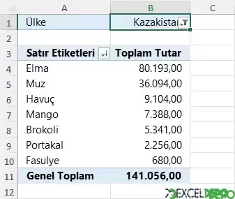 Özet Tablo Filtre Yapma