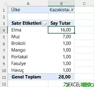 Özet Tabloda Sayılan Değer Alanı