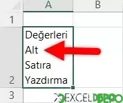 Değerleri Alt Satıra Yazdırma