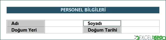 Hücreler Seçimi