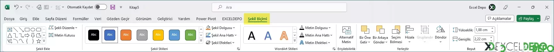 Şekil Biçimi Sekmesi