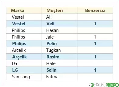 Aynı Olan Verilerin En Sonundakini Renklendirme