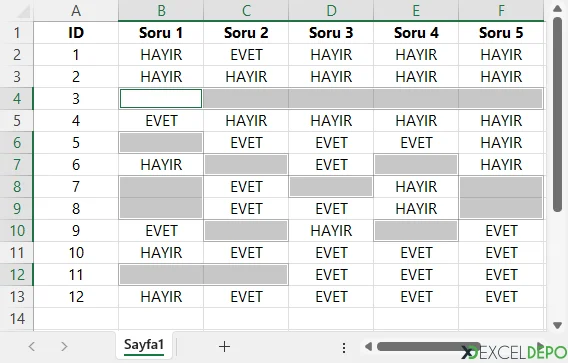 Boş Hücreler Seçildi