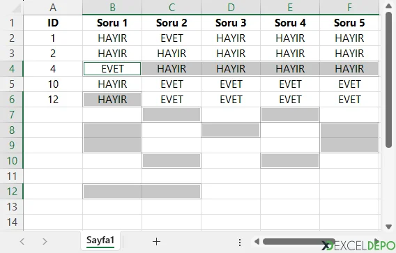 Boş Satırlar Silindi