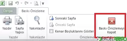 baskionizleme.webp