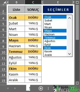 Birden Fazla Seçim Yapılabilen Liste Kutusu-3.webp