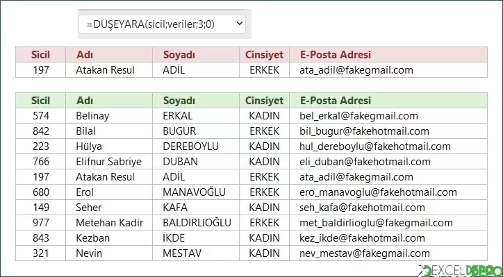 DÜŞEYARA Hakkında Bilinmesi Gerekenler-12.webp