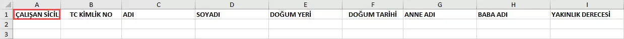 Excel Programını Doğru Kullanma-2.webp