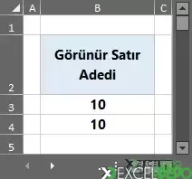 Filtrelenmiş Sayfalarda İşlemler Yapma-2.webp