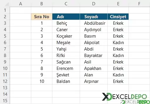 Formüller ile Dinamik Sıra Numarası Ekleme-1.webp