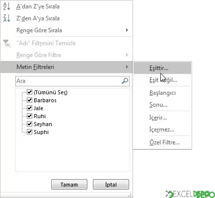 msf5.webp