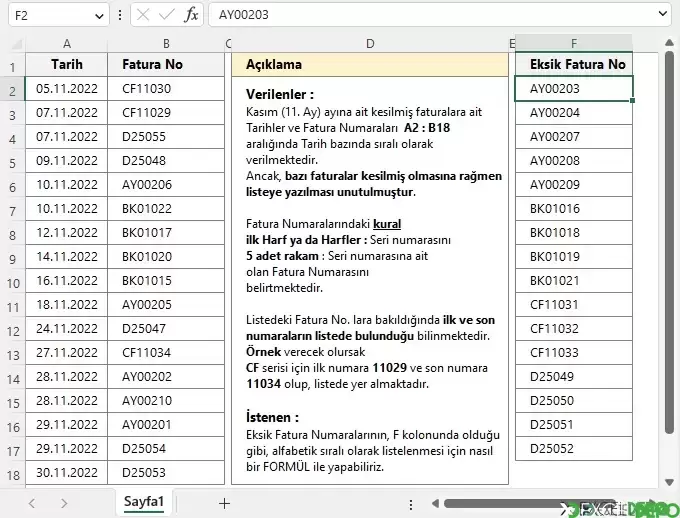 R02.webp