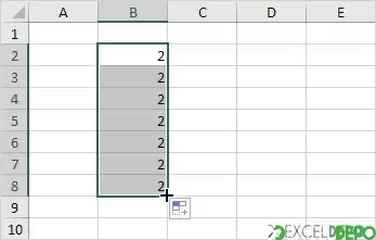 range8.webp