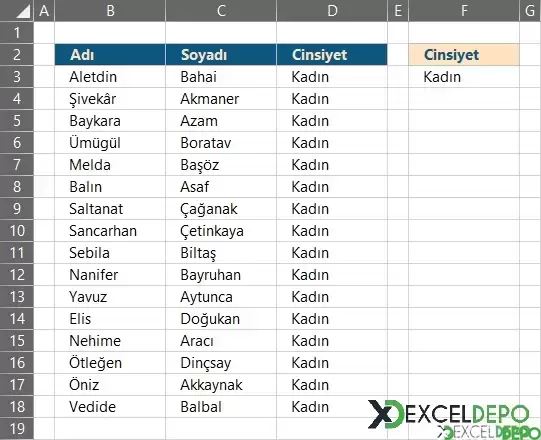 Seçilen Cinsiyete Göre Çalışanları Listeleme-1.webp
