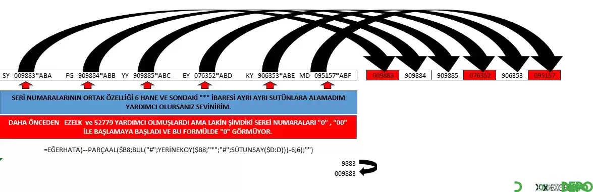 SFY.webp