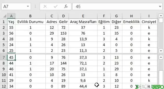 spl3.webp