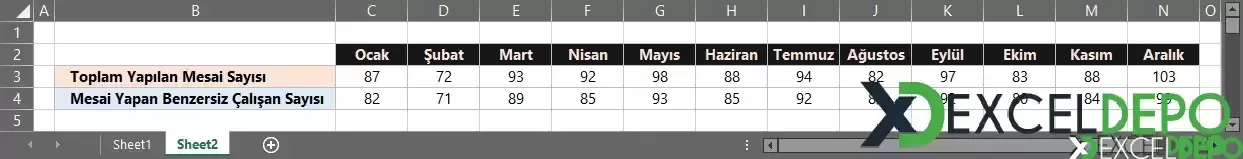 Toplam ve Kişi Bazlı Fazla Mesai Analizi Yapma