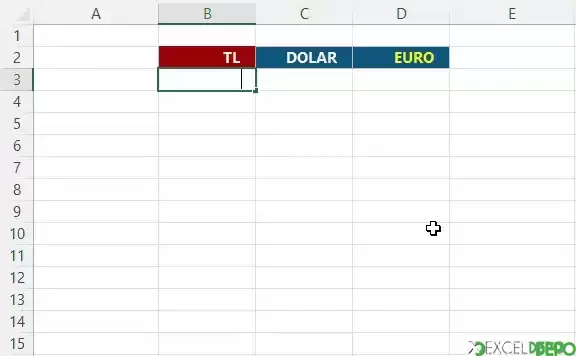 Türk Lirasını Otomatik Olarak Dolara Çevirme-1.webp
