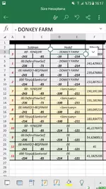 Koşullu Biçimlendirme ile Tüm Satırı Boyama