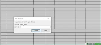 Çalışma Sayfasındaki Ad Çakışması Çözme