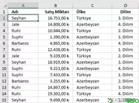 Excel Sıralama İşlemi