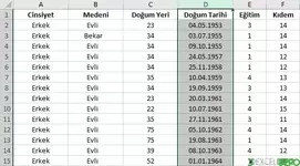 Sütun ve Satır Gizleme, Gösterme