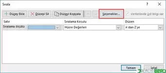 Sütunları Sıralama