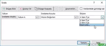 Özel Listelere Göre Sıralama Yapma