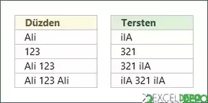Sayı ve Metin Değerlerini Tersten Yazdırma