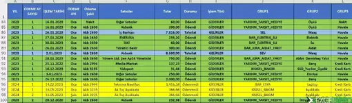 Kayıtlar A sütunu -YIL- A-Z Artan olarak LİSTELENMEMEKTEDİR.webp