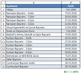 excel-ile-personel-izin-takip-cizelgesi-olusturma-tatiller.webp