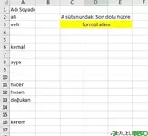 En Sondaki Dolu Hücreyi Yazdırma