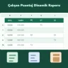 Çalışan Puantaj Dinamik Raporu