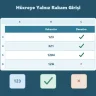 Hücreye Yalnız Rakam Girişi