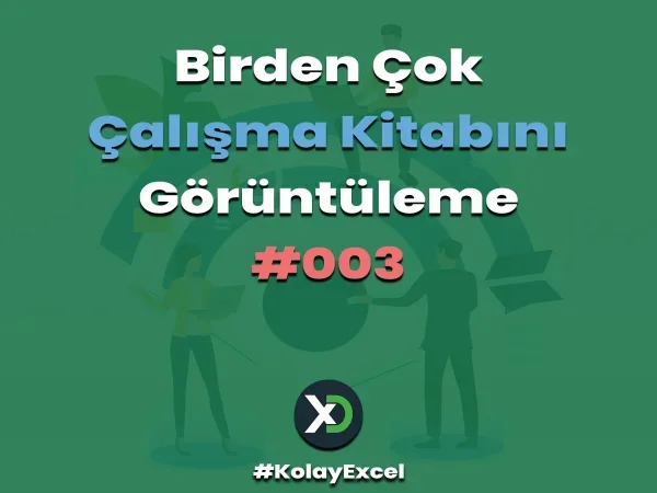 Birden Çok Çalışma Kitabını Görüntüleme