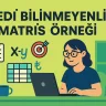 Yedi Bilinmeyenli Matris Örneği