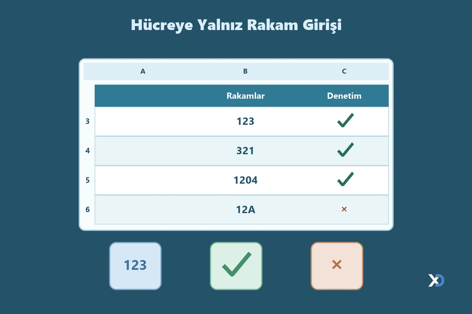 Hücreye Yalnız Rakam Girişi